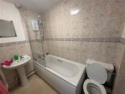 Picture 7